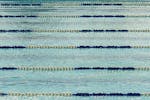 A tranquil view of an empty Olympic swimming pool with lane dividers.